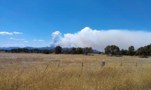 bushfires1